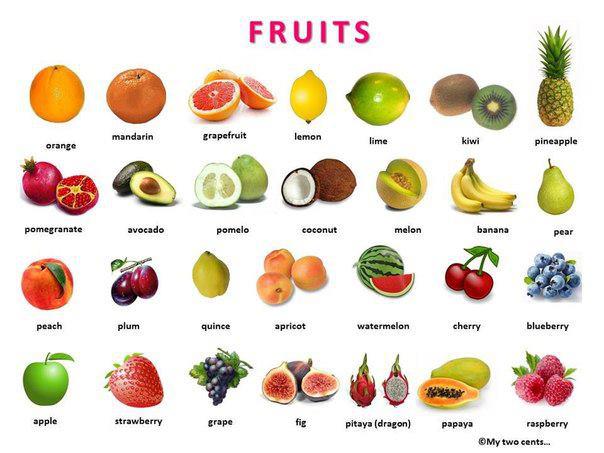 A list of fruit