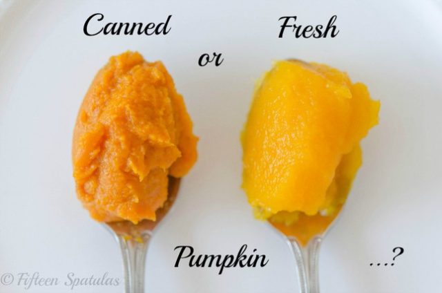 fresh pumpkin vs canned pumpkin for pie