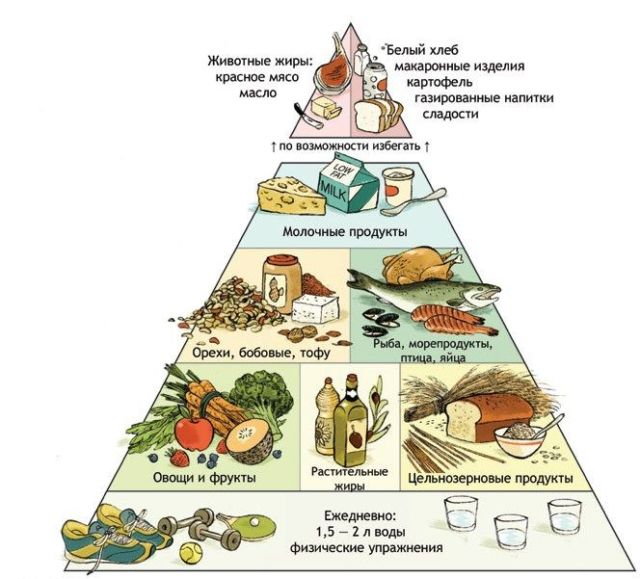 Граврардская пищевая пирамида