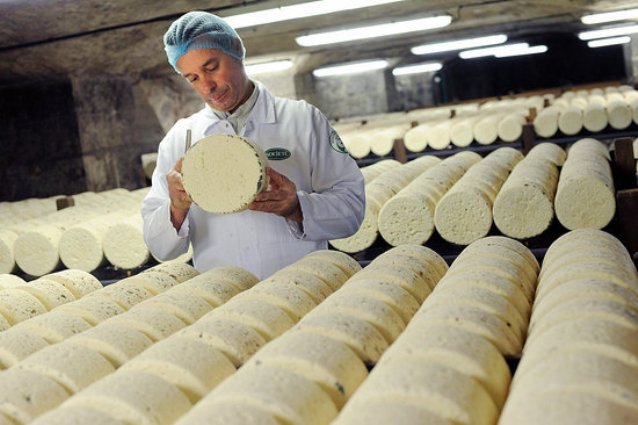 Сыр рокфор - секрет долголетия французов