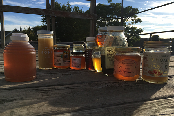 Generic honey (left) is no match for the unique tastes and flavors of local honeys straight from the hive which capture the spirit of a certain time and place.
