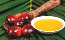 Palm Oil Fractionation