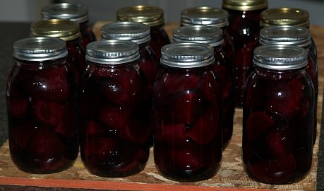 Canned Pickled Beets Recipe