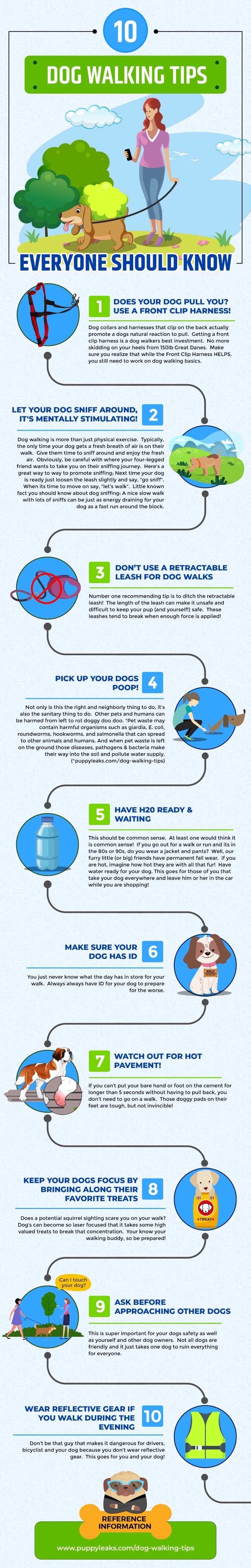 10 Dog Walking Tips Everyone Should Know