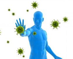как поднять иммунитет после антибиотиков