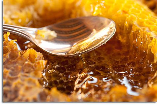 липовый мед полезные свойства