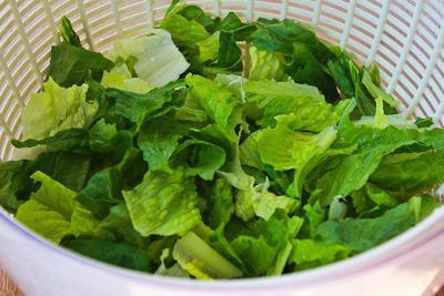 листовой салат 