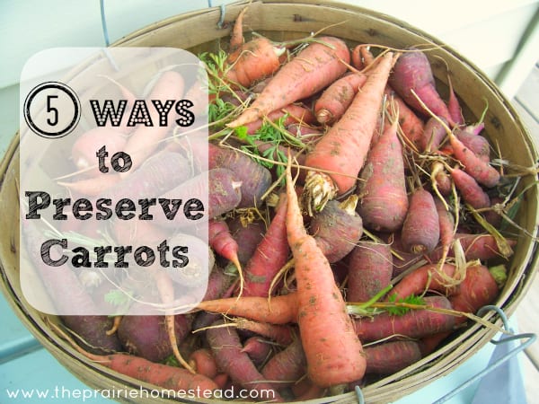 How to Preserve Carrots