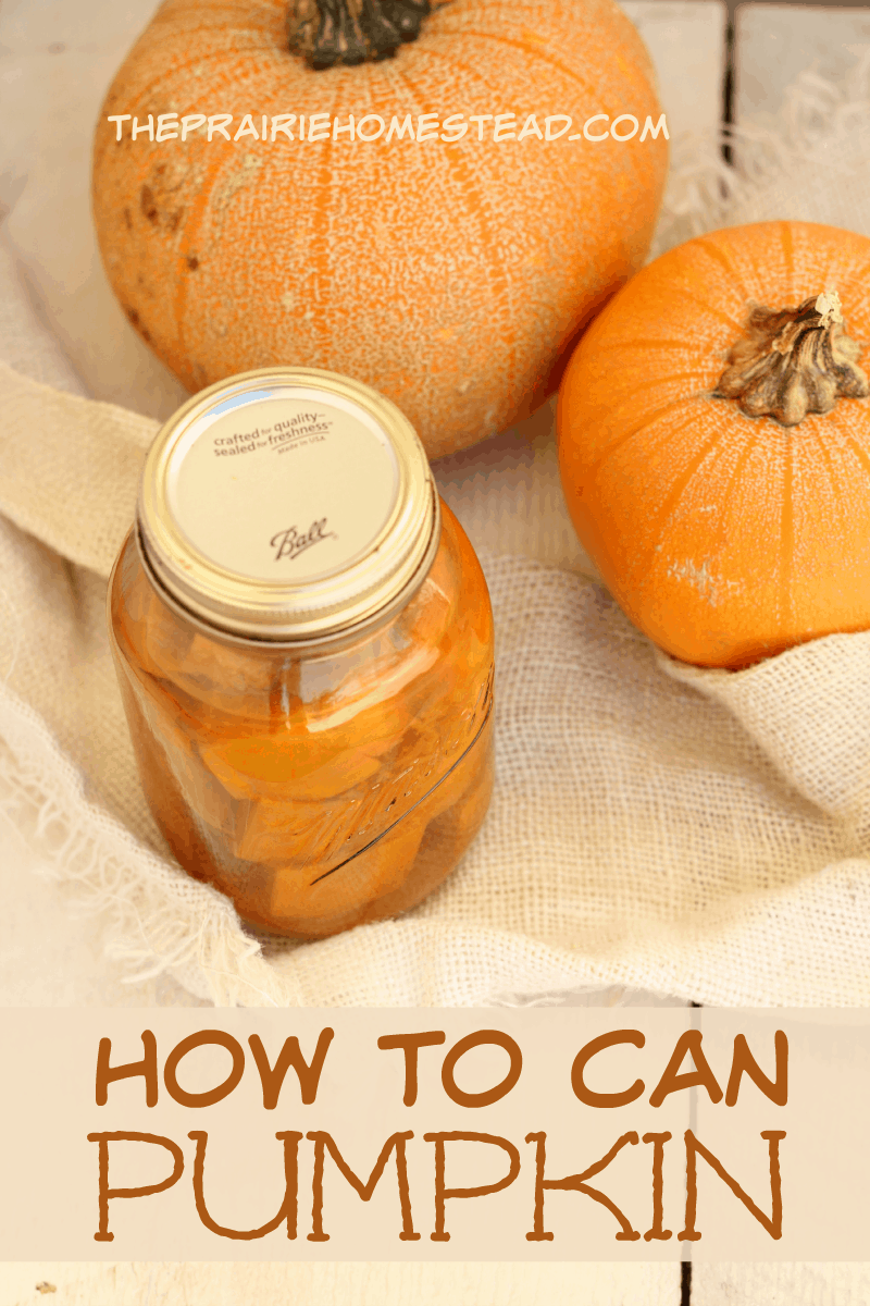 Canning pumpkin -- it
