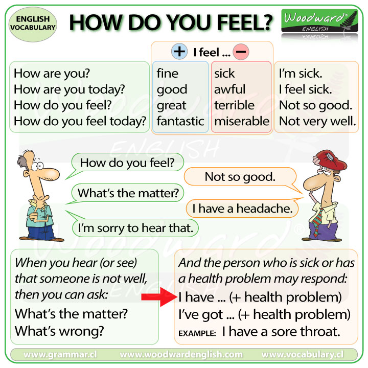 How do you feel? - English Conversation