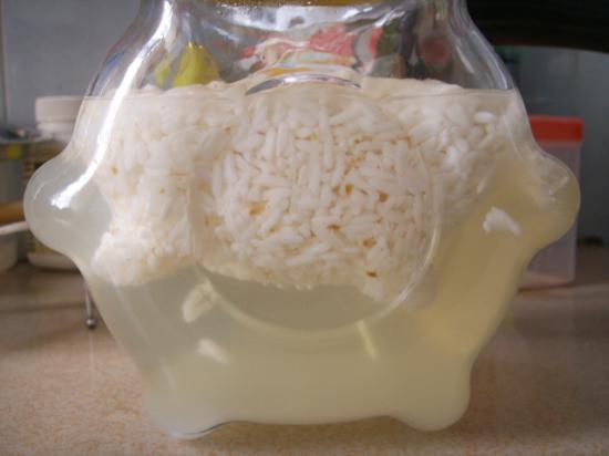 successful fermented rice