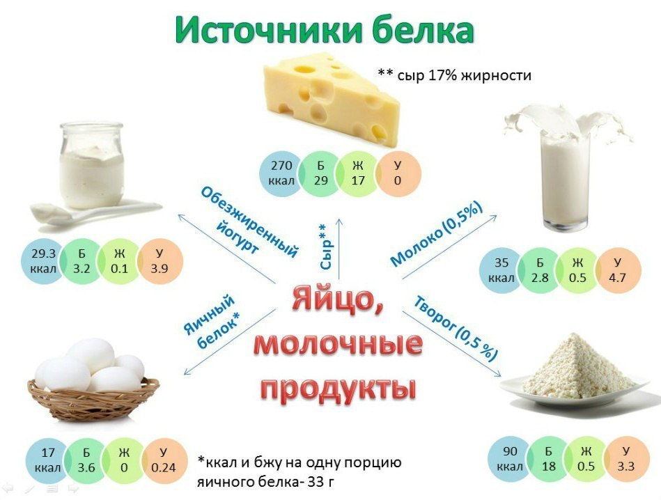 Молочные продукты и яйца как источники протеина