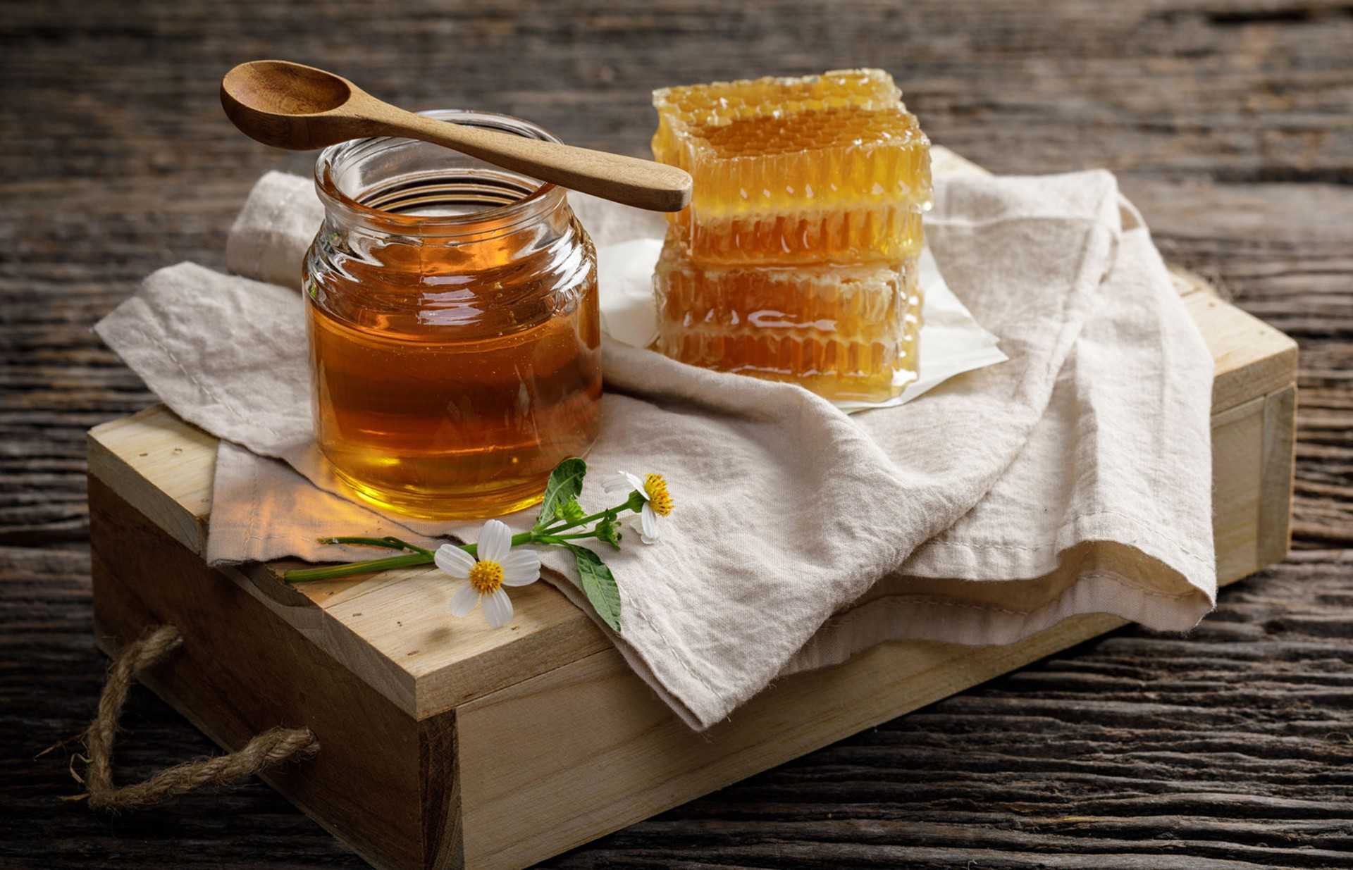 Сорта меда и их целебные свойства