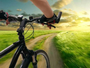 Езда на велосипеде: польза и вред, правила