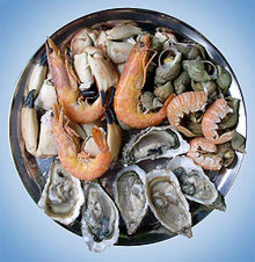 Какие морепродукты человек употребляет в пищу, какие блюда. Что приготовить из морепродуктов?