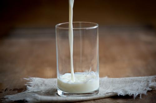 Чем полезно козье молоко для детей. Козье молоко: польза и вред для детей