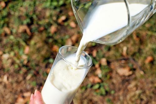Чем полезно козье молоко для детей. Козье молоко: польза и вред для детей
